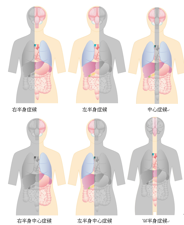 第3章 人体の気の循環理論・骨盤症候